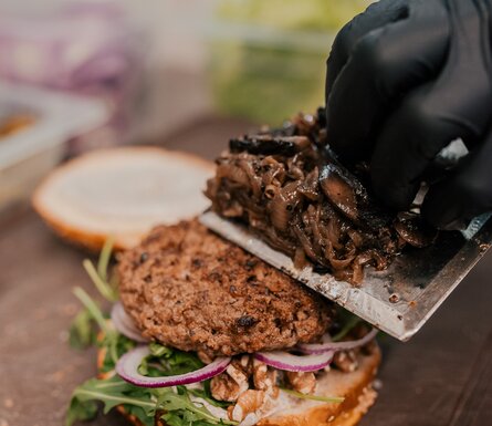 <br />
<b>Notice</b>:  Trying to get property 'name' of non-object in <b>/storage/cache/templates/_view_template_content_layouts_layout_4.tpl.php</b> on line <b>21</b><br />
